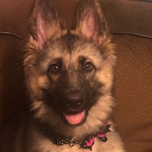 Meet your Posher, Emmanuel